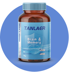 Brain & Memory